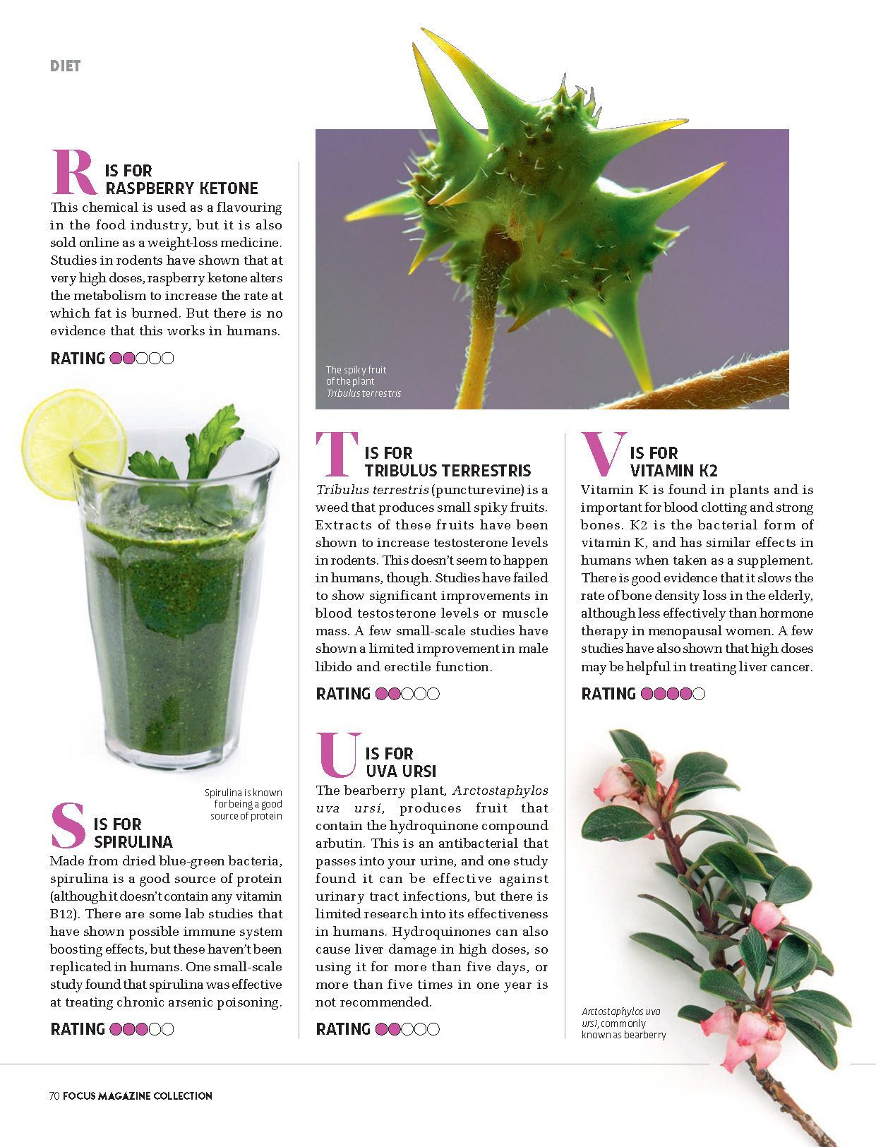 A magazine page with a green smoothie and a plant