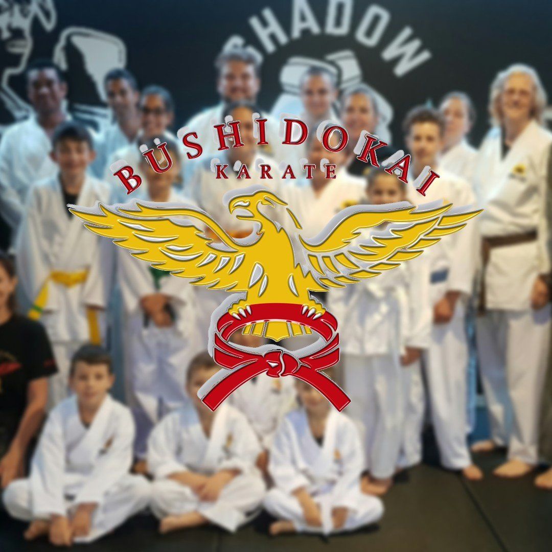 A group of people are posing for a picture with the logo for bushido karate
