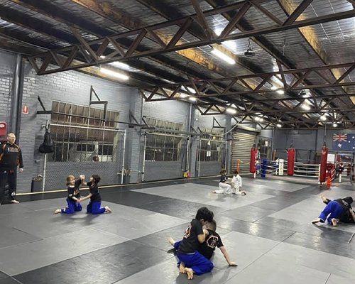 A group of people are practicing martial arts in a gym.