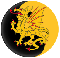 A black and yellow circle with a dragon on it