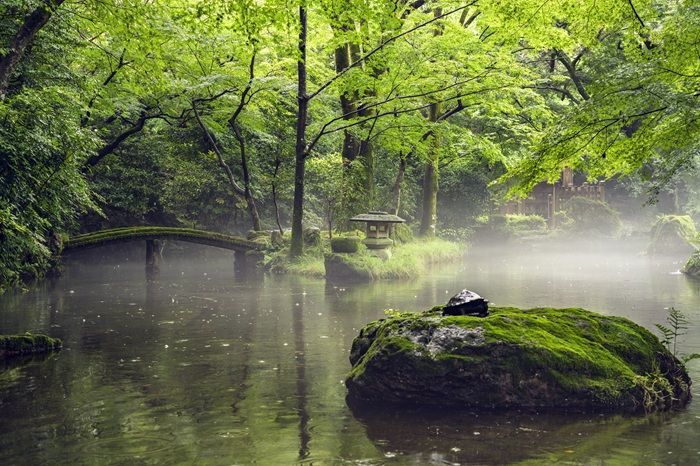 Lush green Japanese garden with a mist-covered pond, a stone bridge, and moss-covered rocks.