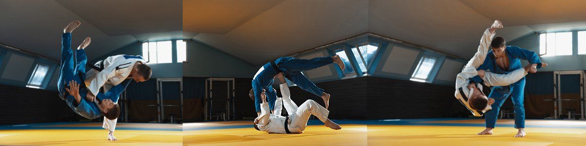 ju jitsu martial arts training insurance