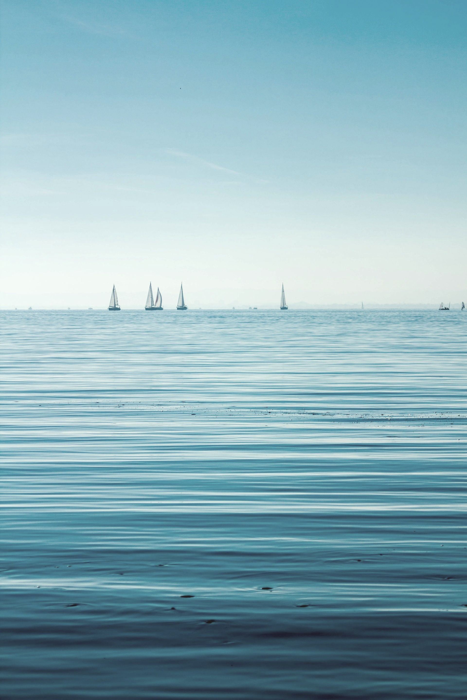 A group of sailboats are floating on top of a large body of water.