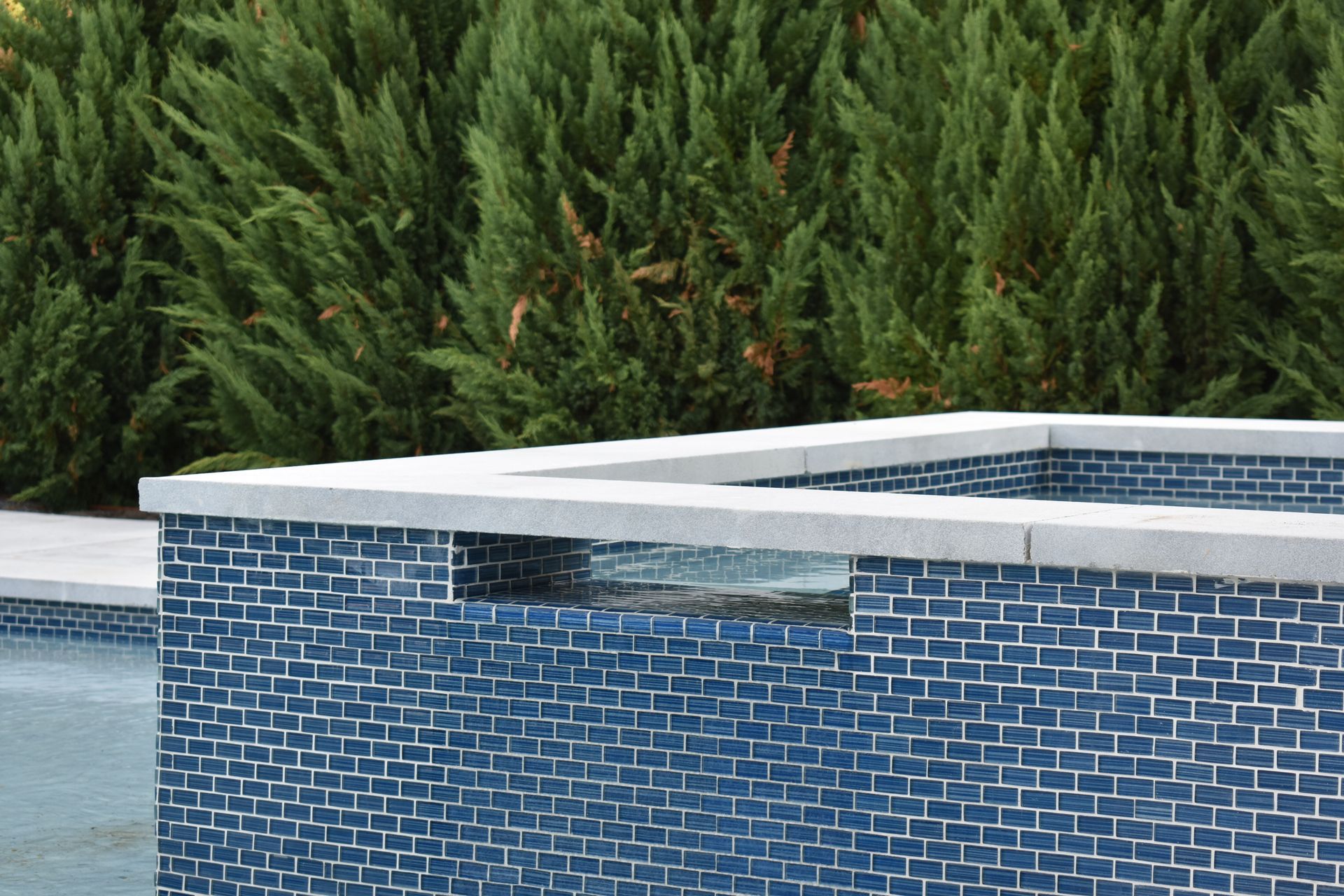 A swimming pool with blue tiles and trees in the background