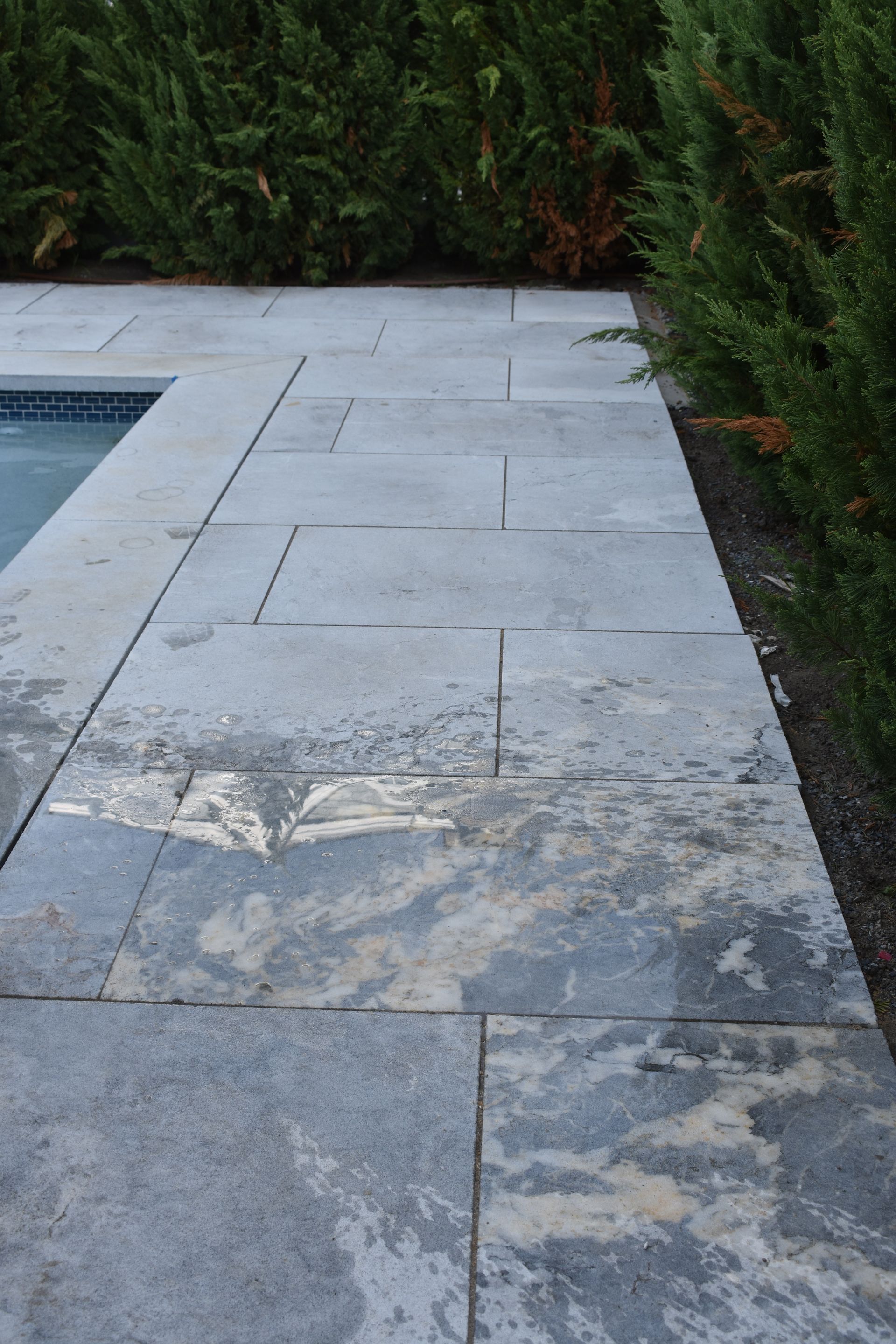 A tiled walkway next to a pool with trees in the background