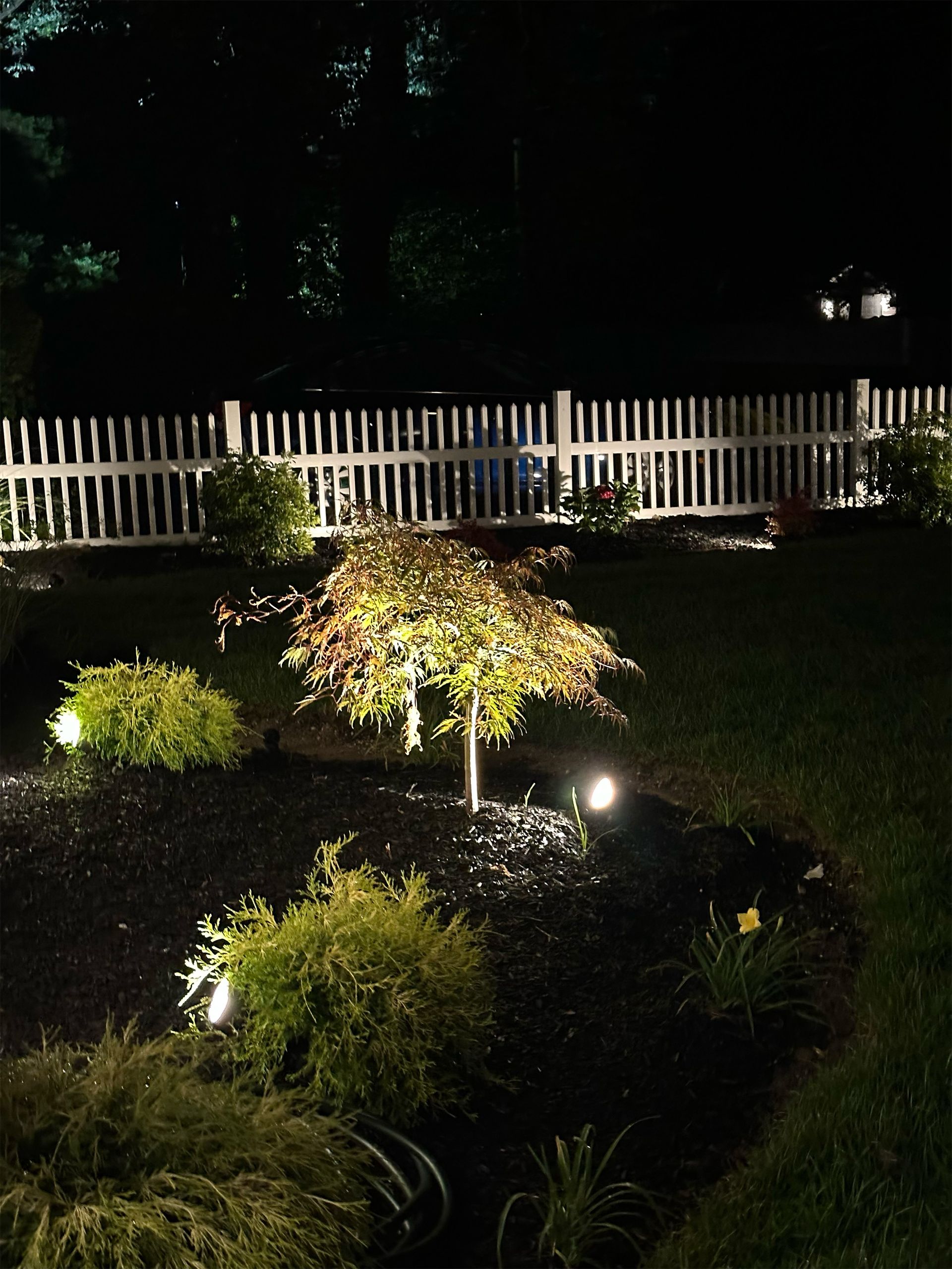 A white picket fence surrounds a garden at night