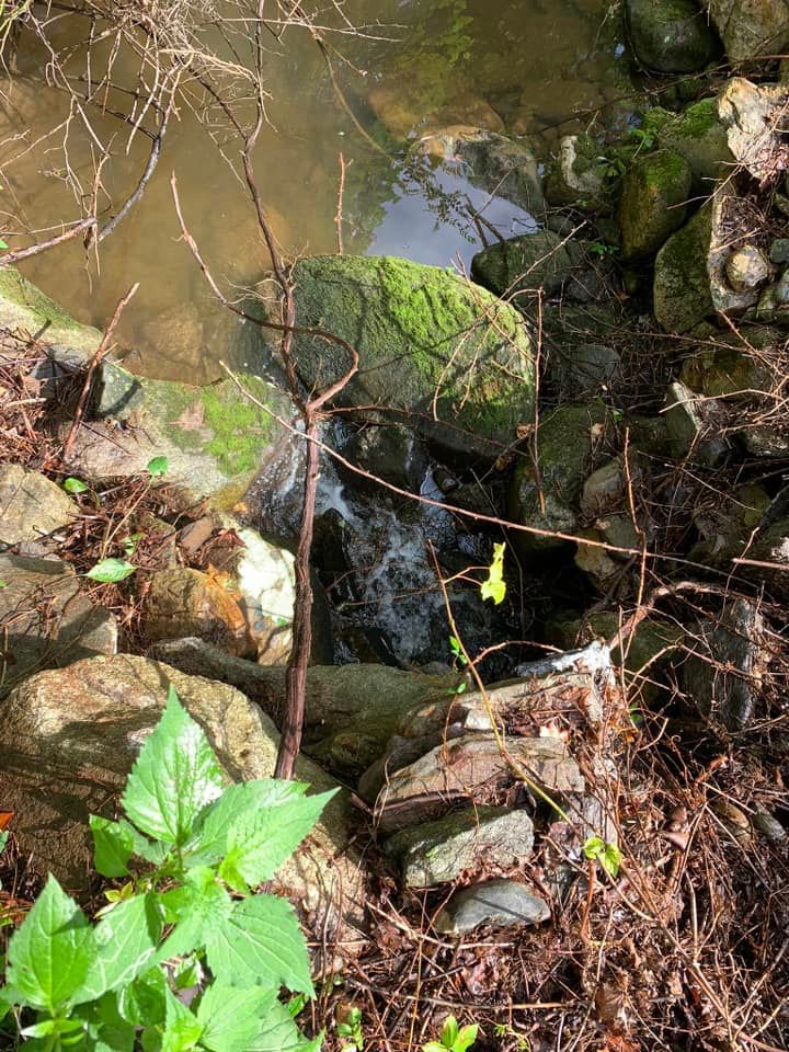 A small waterfall is surrounded by rocks and plants.