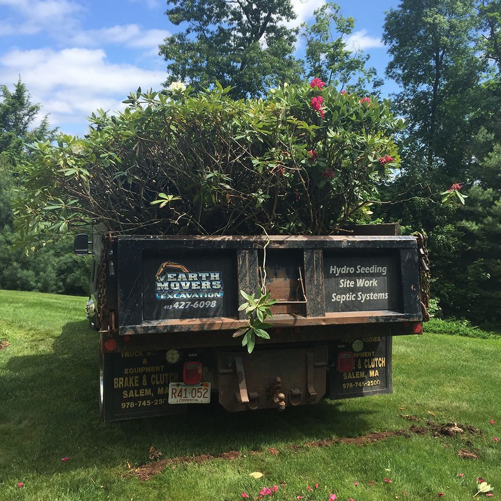 A dump truck with a tree in the back of it
