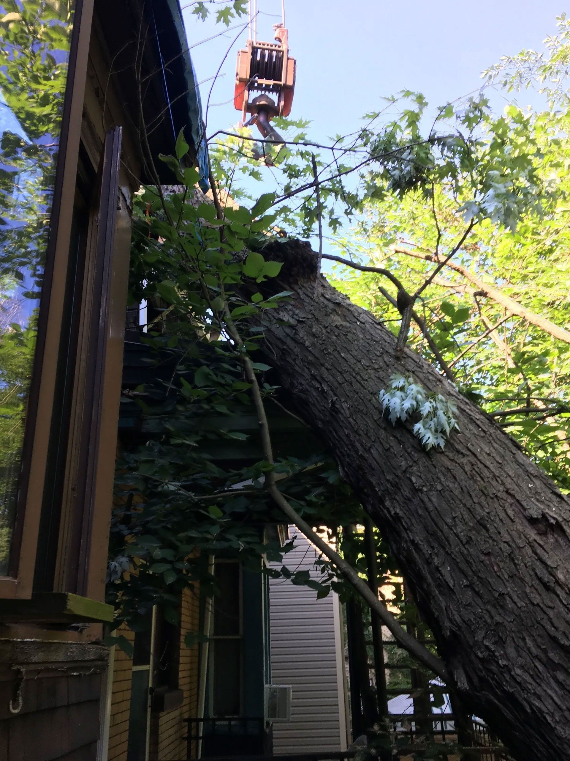 BJ Tree Service, LLC 10