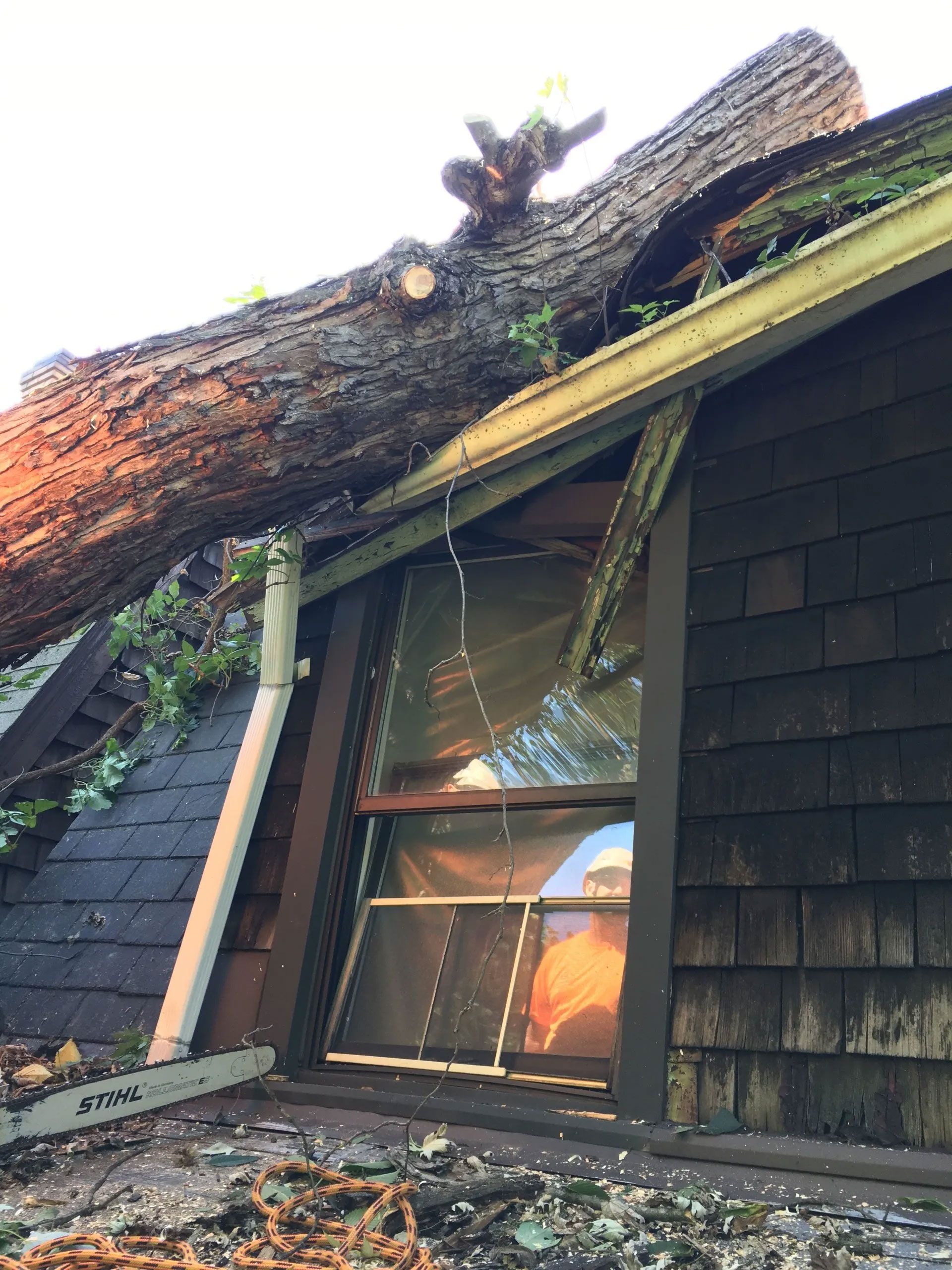BJ Tree Service, LLC 12
