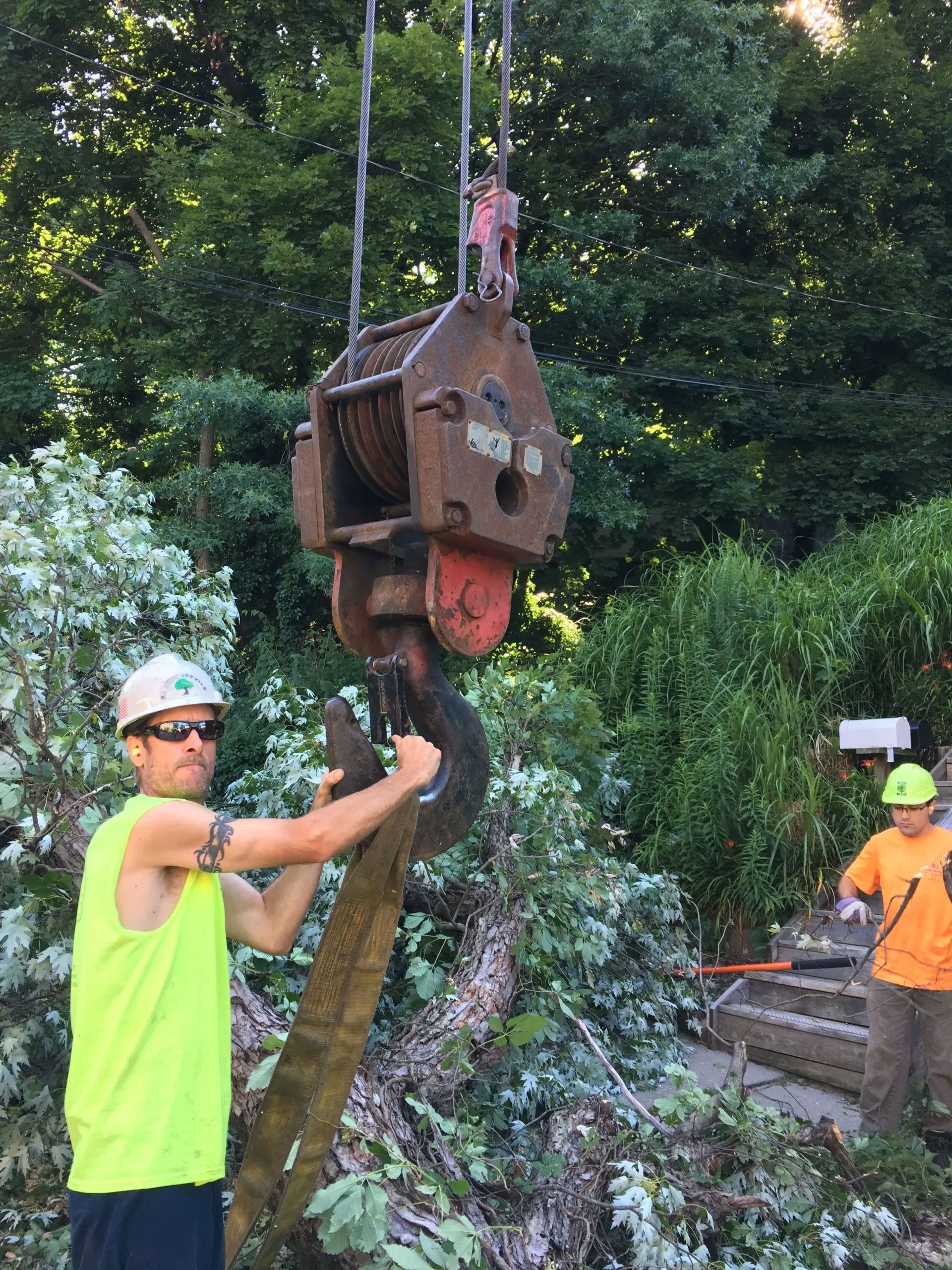 BJ Tree Service, LLC 13