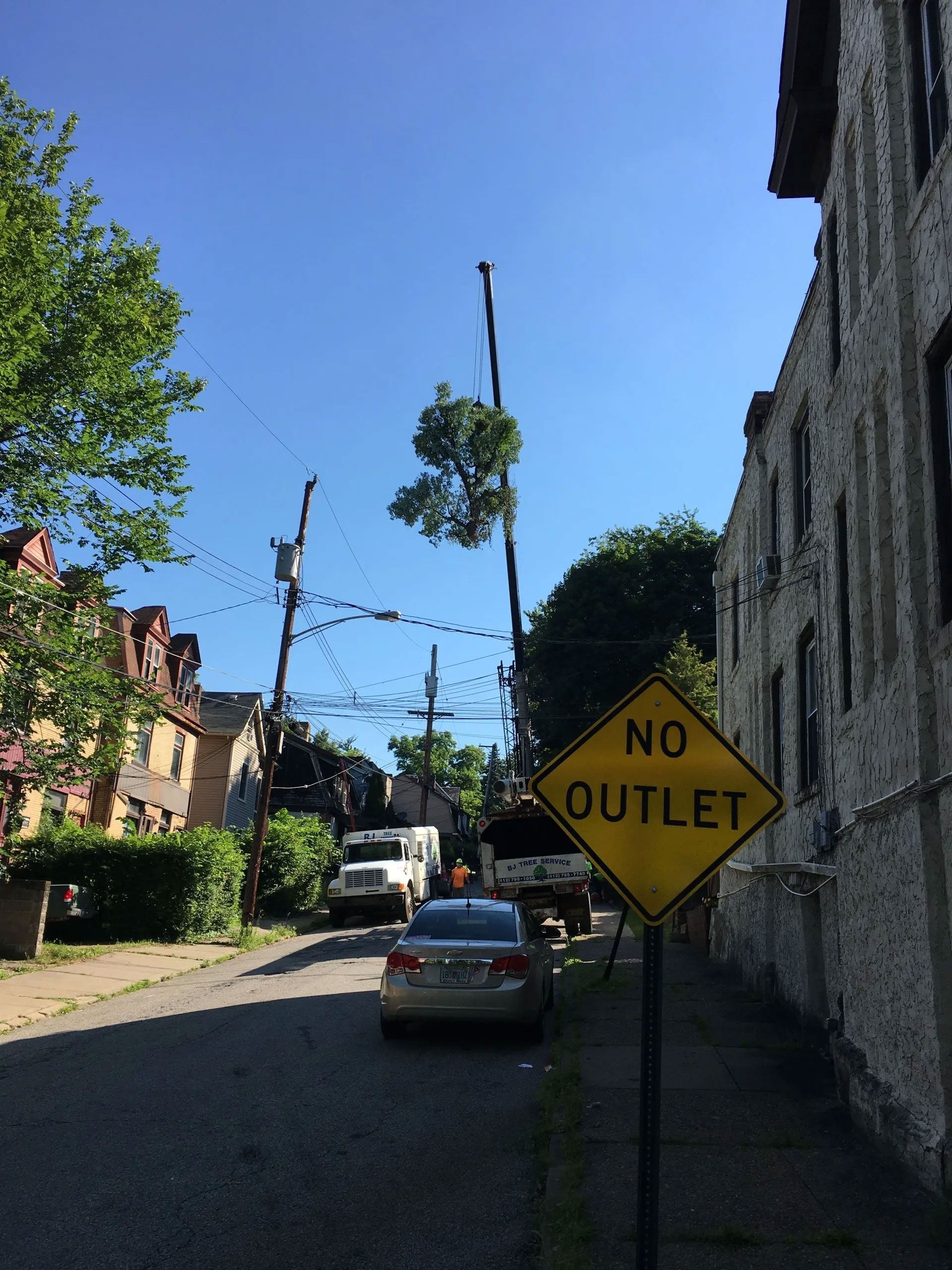 BJ Tree Service, LLC 14