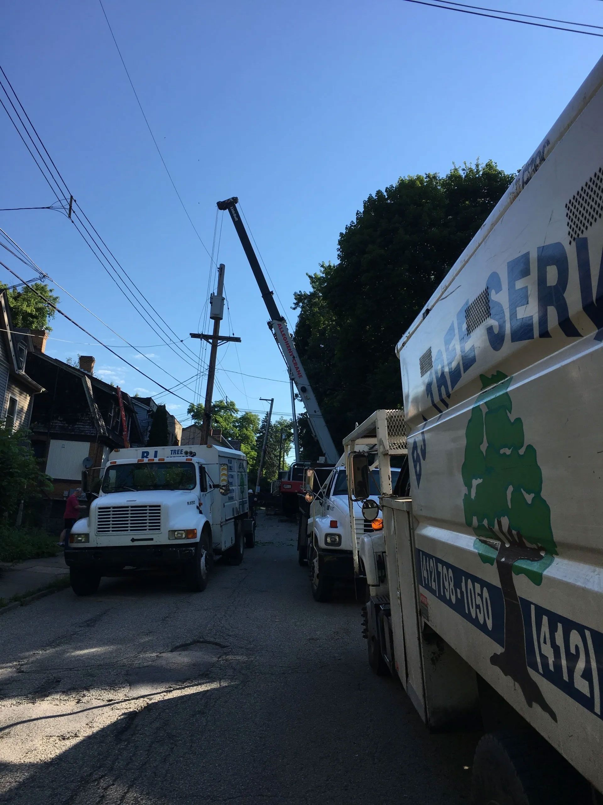 BJ Tree Service, LLC 15