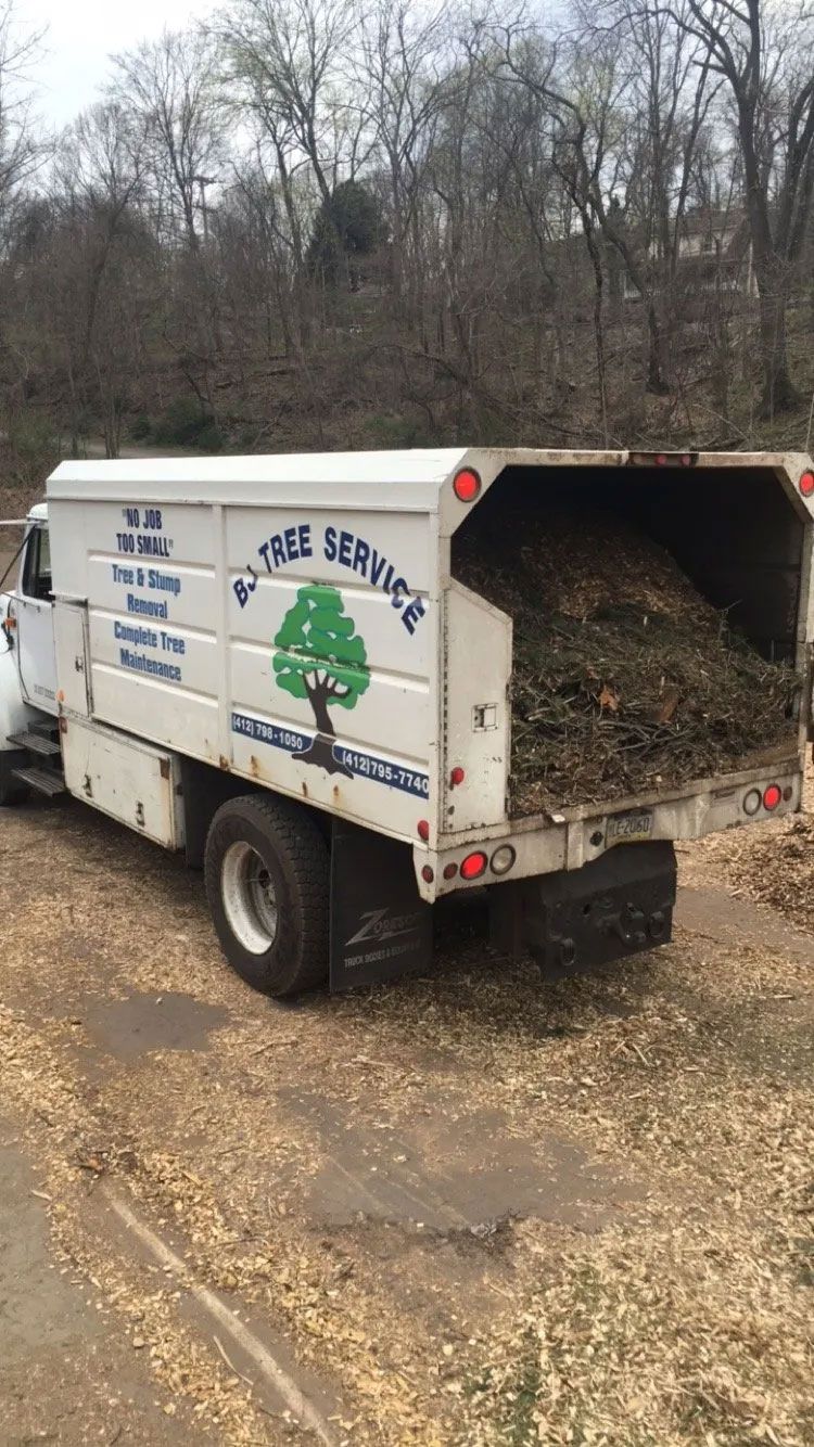 BJ Tree Service, LLC 3