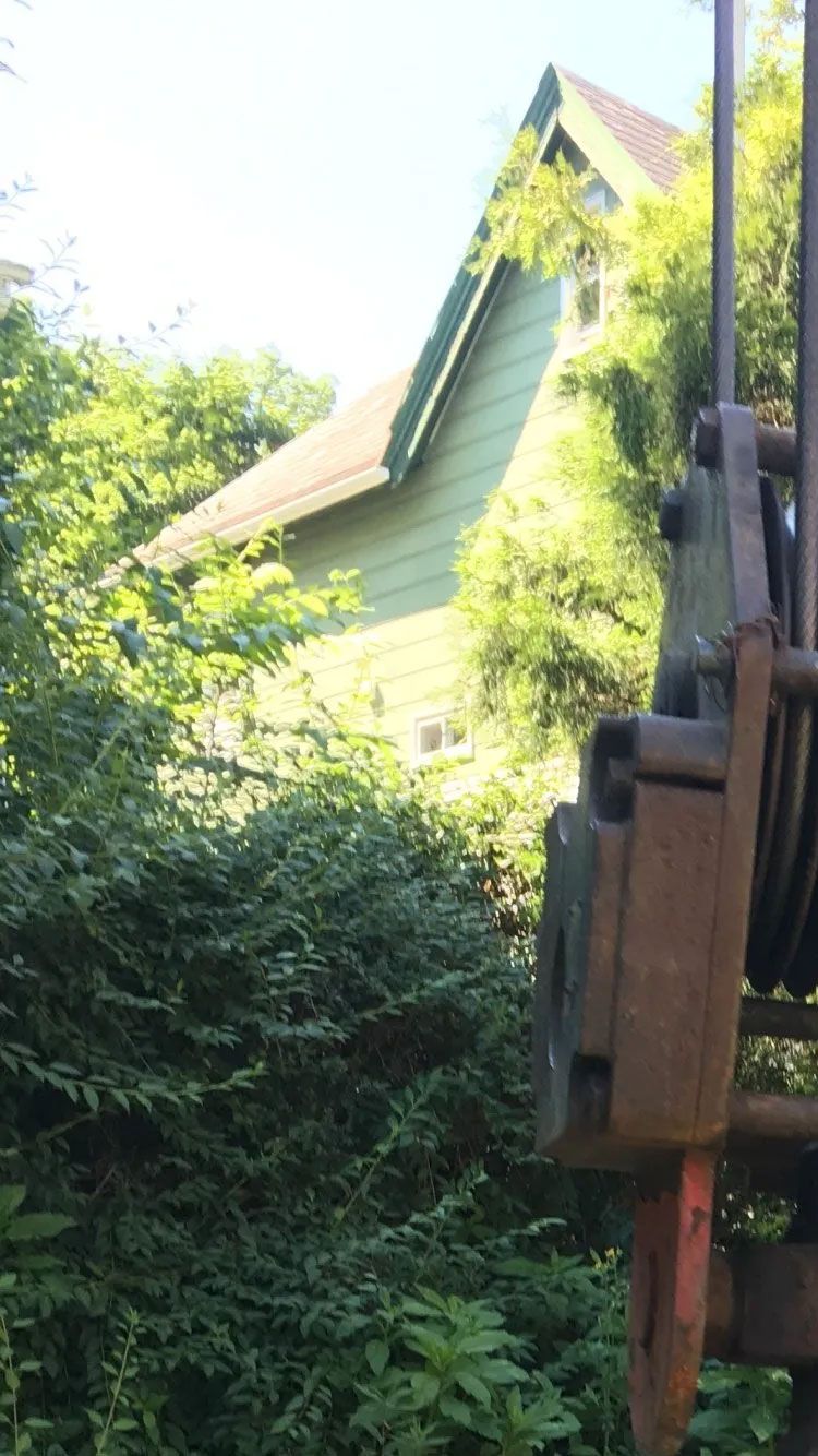 BJ Tree Service, LLC 4