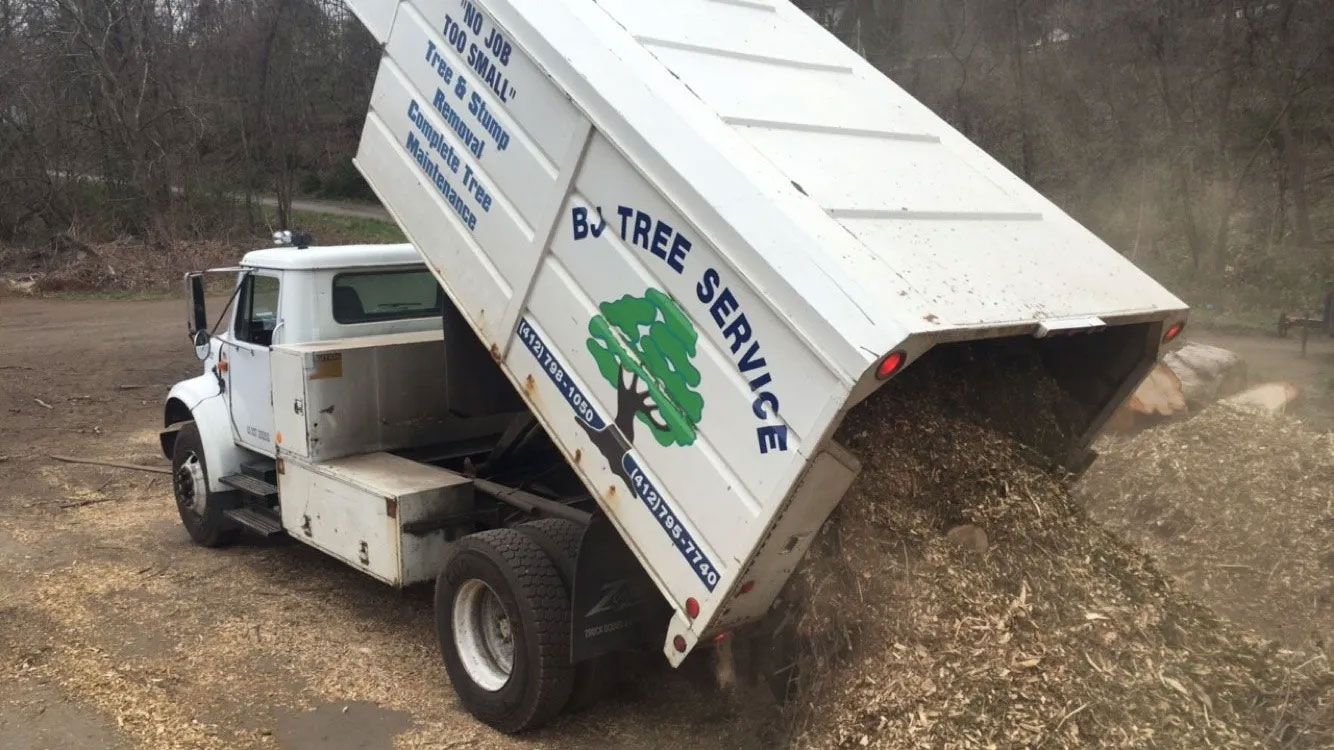 BJ Tree Service, LLC 6