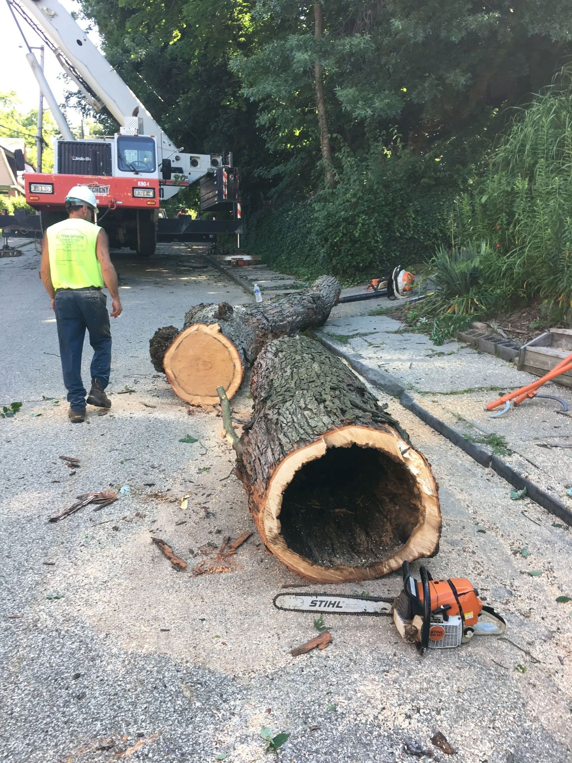 BJ Tree Service, LLC 7