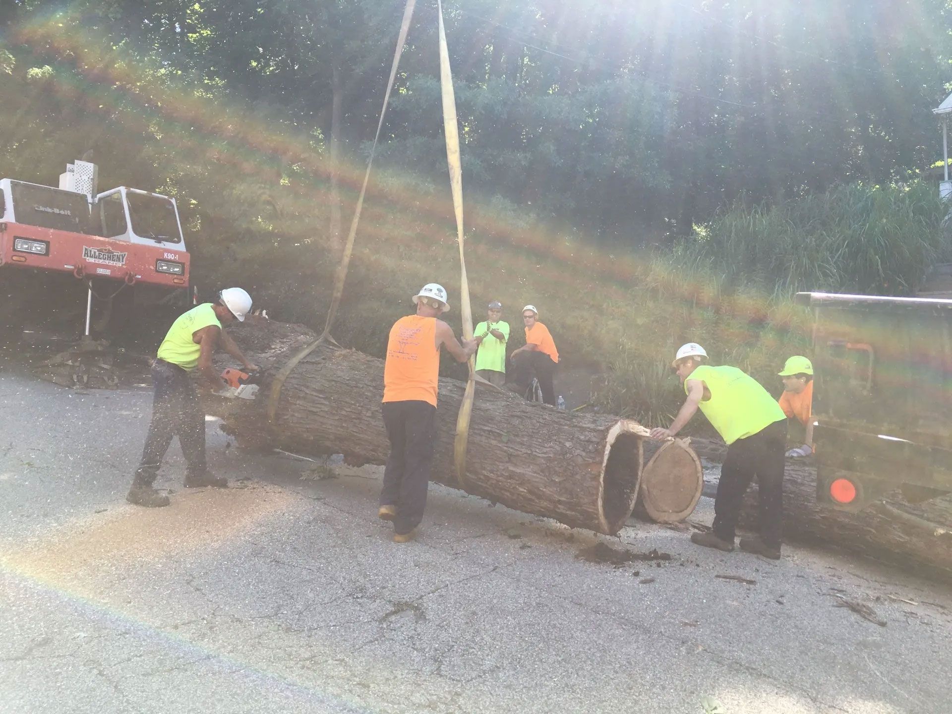 BJ Tree Service, LLC 8