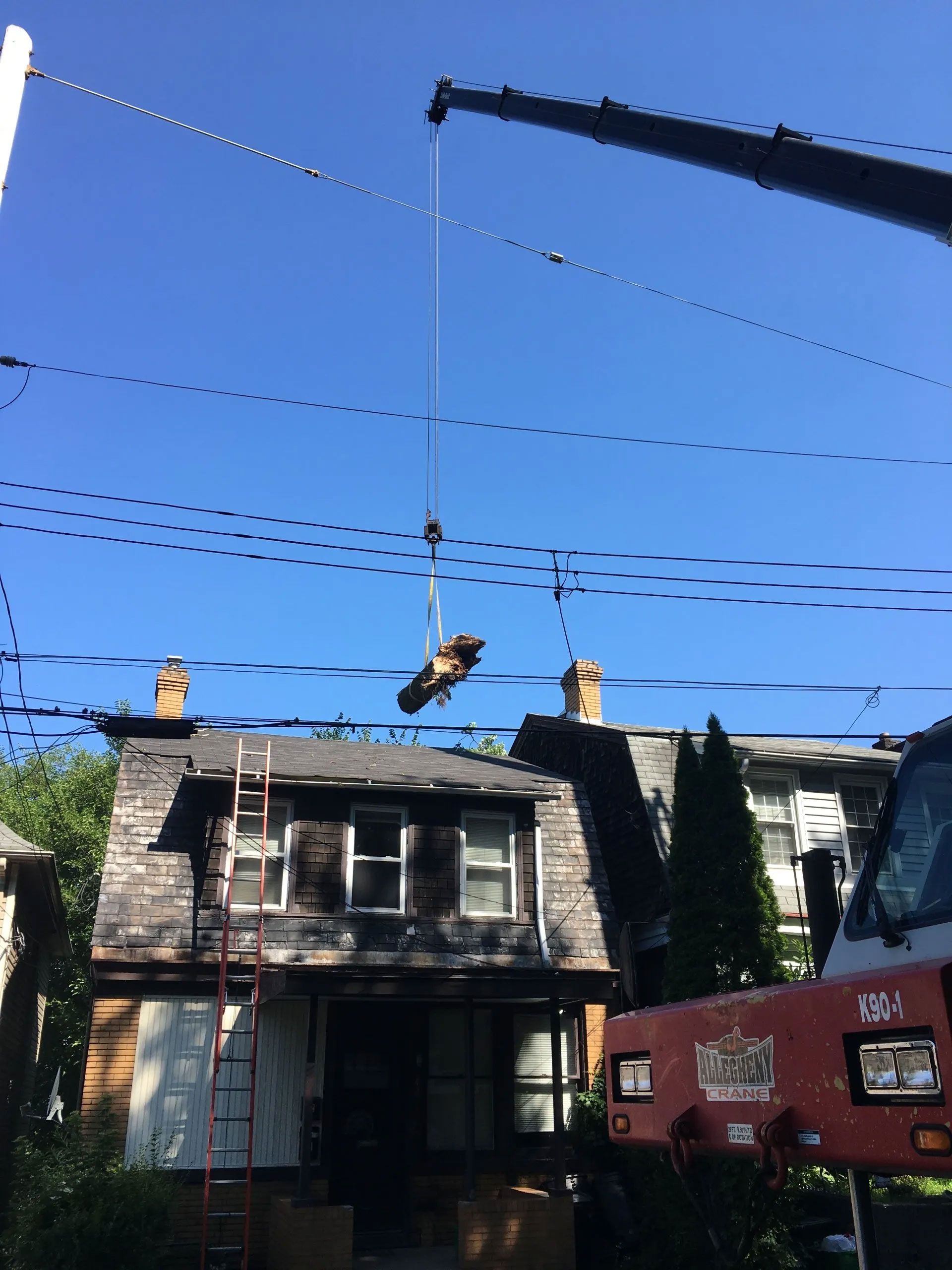 BJ Tree Service, LLC 9