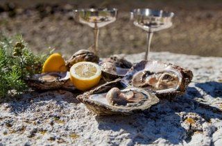 Oysters and champagne, oysters and champagne aperitif, Viterbo, Lake Bolsena, Viterbo