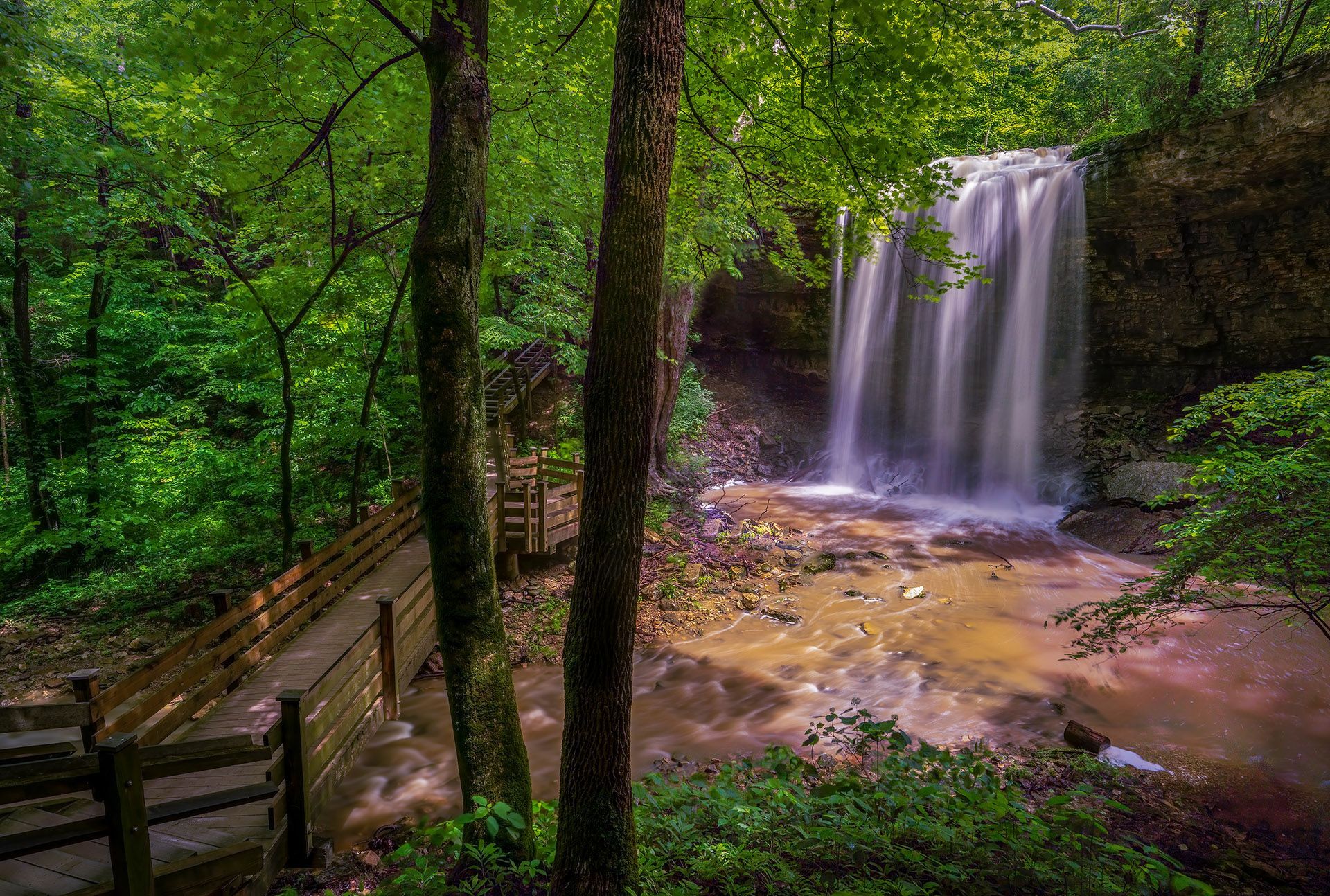 A waterfall in the middle of a forest with a wooden bridge in the foreground.