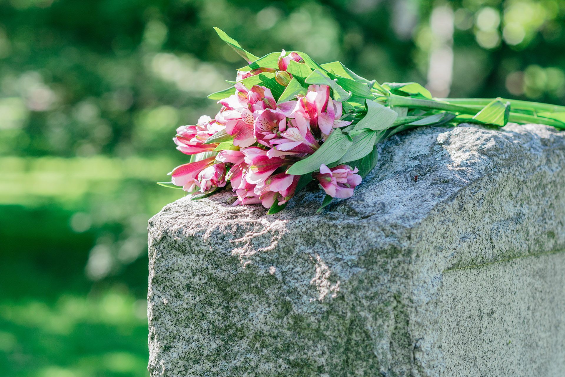 A bouquet of pink flowers is sitting on top of a stone.