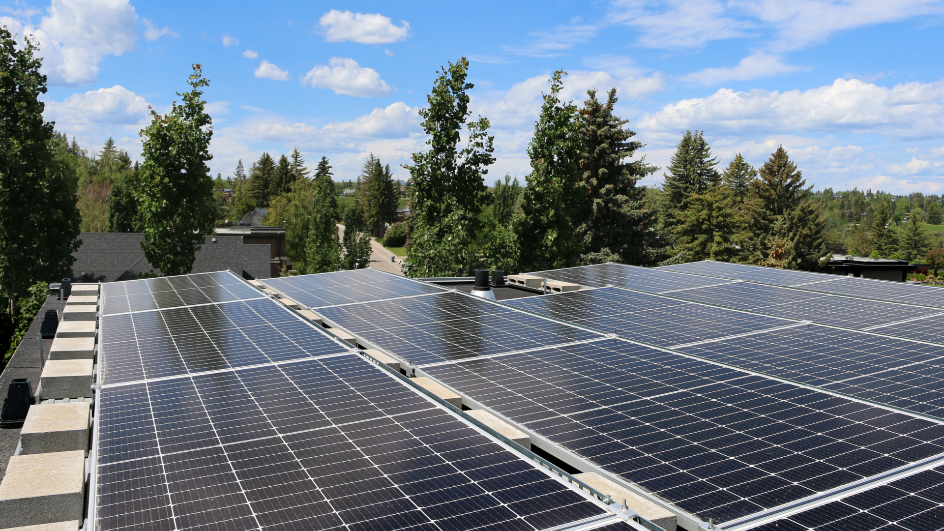 A row of solar panels on a roof with trees in the background