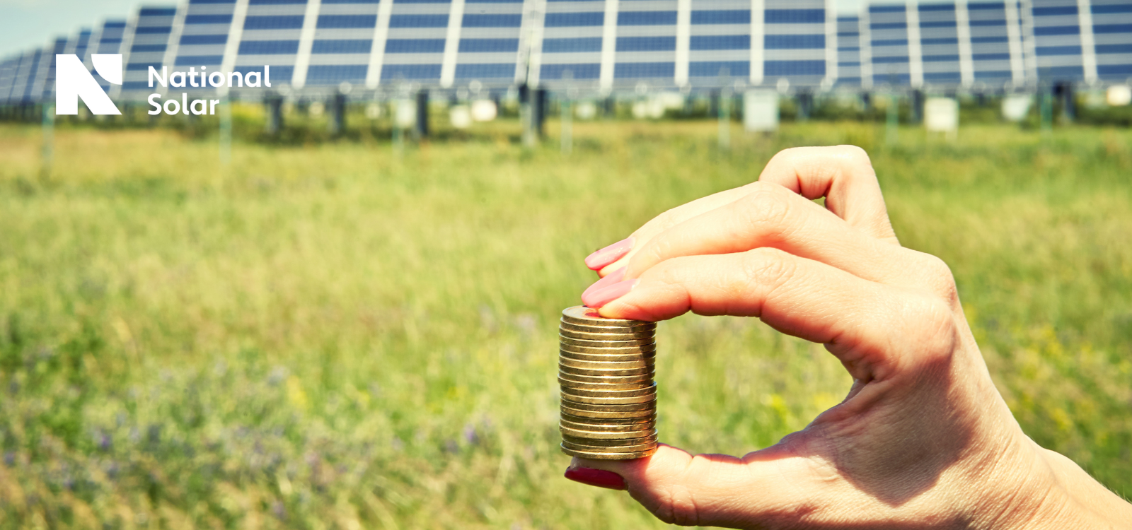 A person holding a stack of coins in front of a field of solar panels