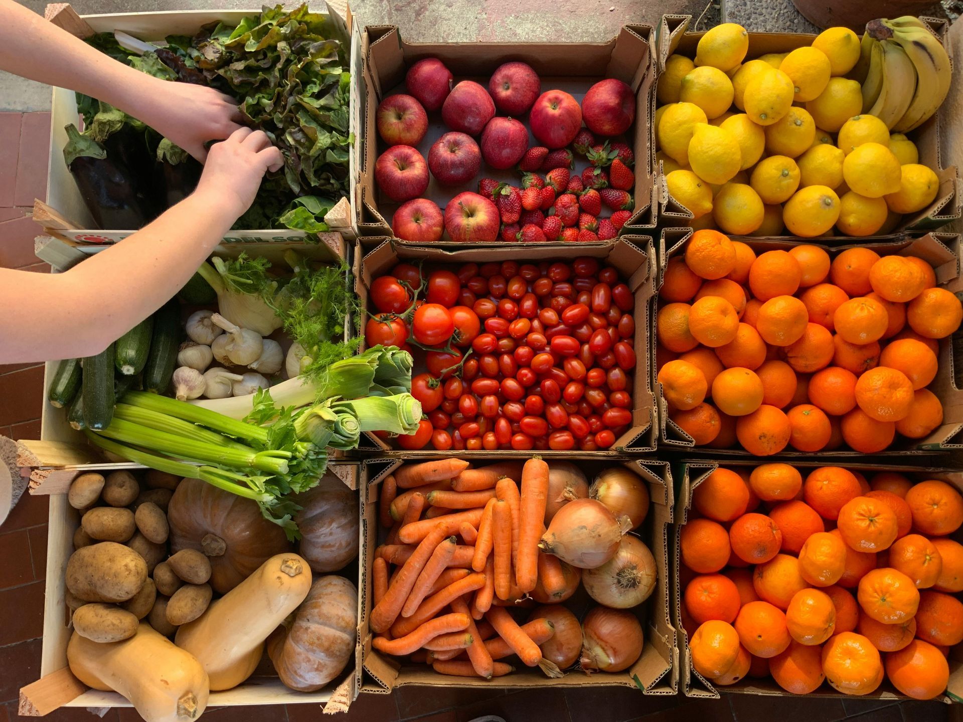 Nine wooden crates filled with various fresh fruits and vegetables. Hands are sorting greens.