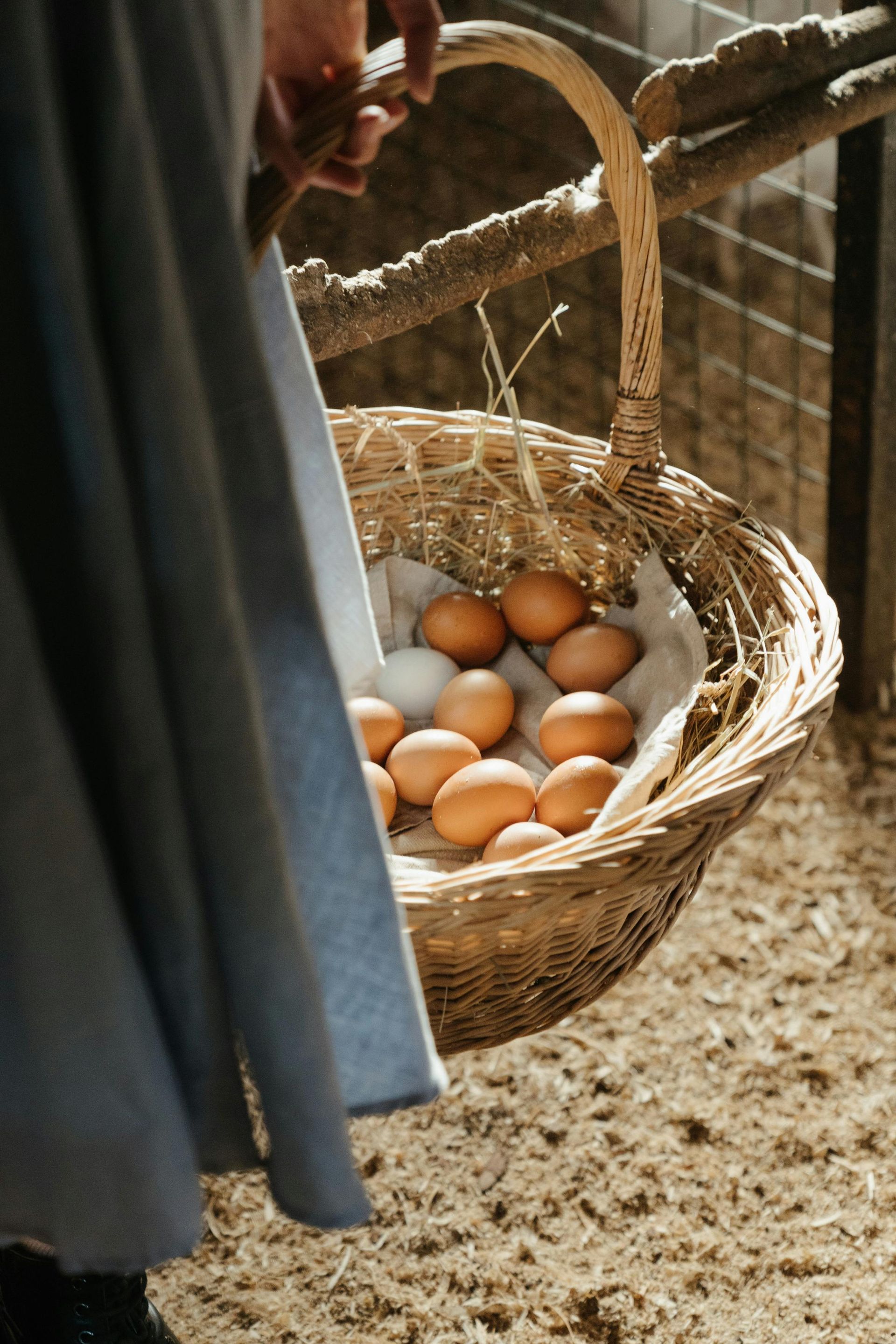 Person holding a basket of brown eggs inside a coop.