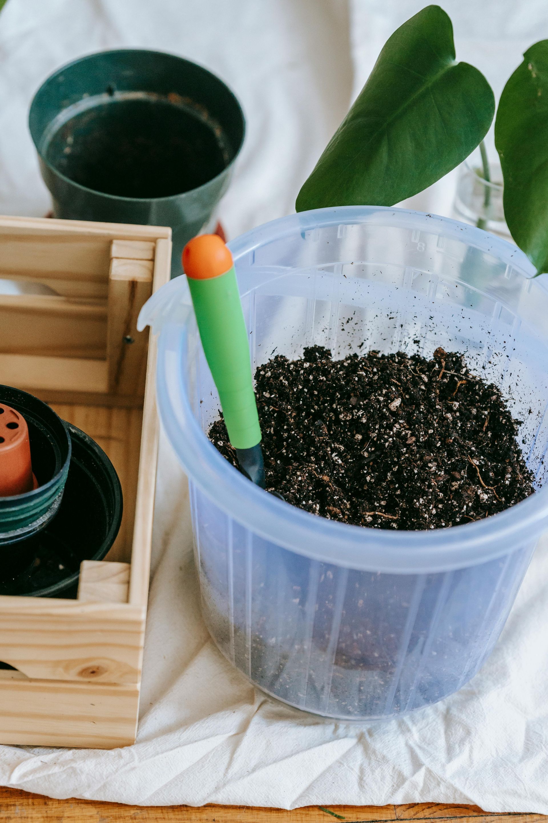 Gardening setup: soil in a plastic bucket, trowel, pots, a wooden crate, and plant leaves.