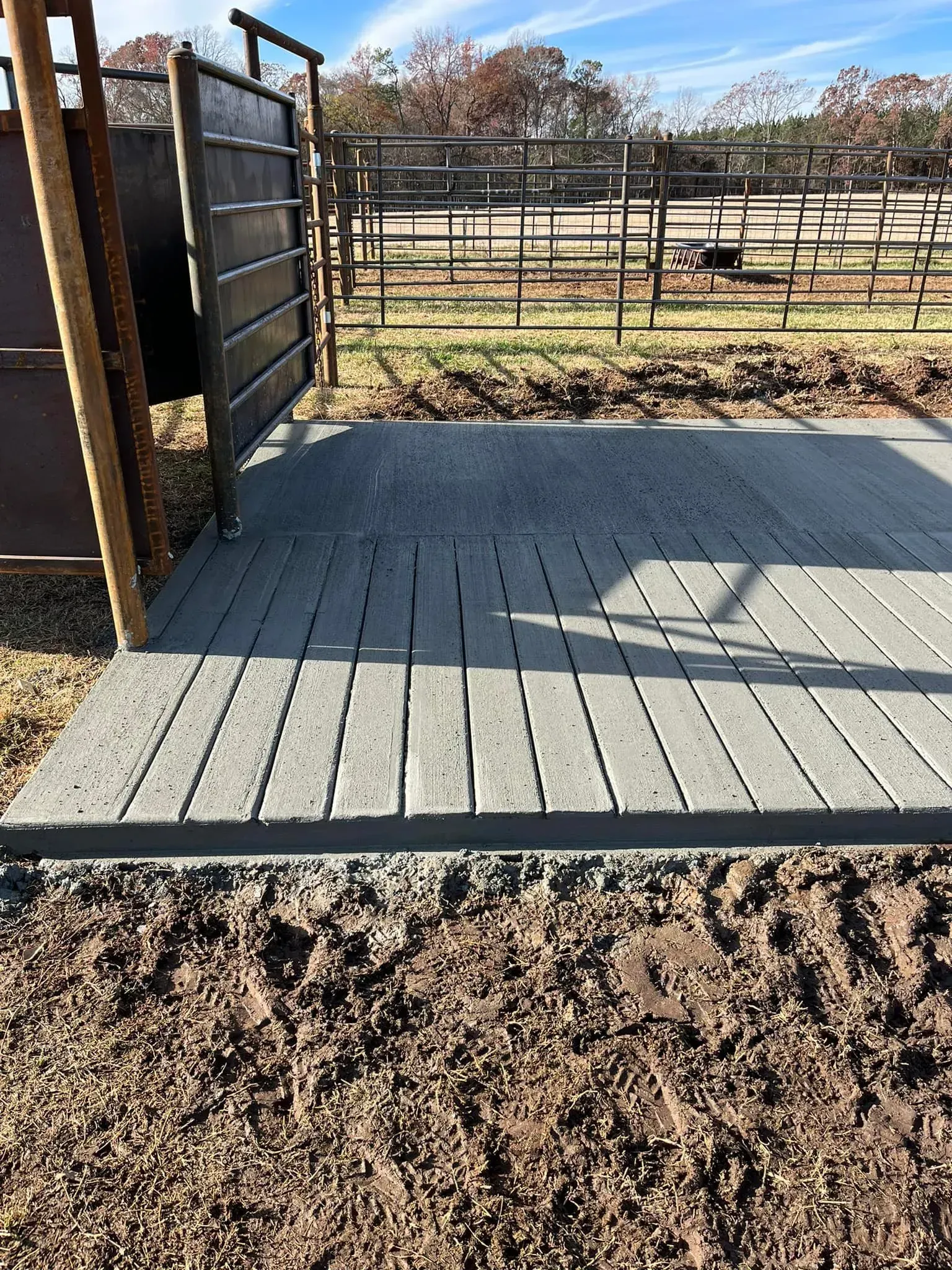 A gray concrete walkway leading to a metal gate in a ranch setting.