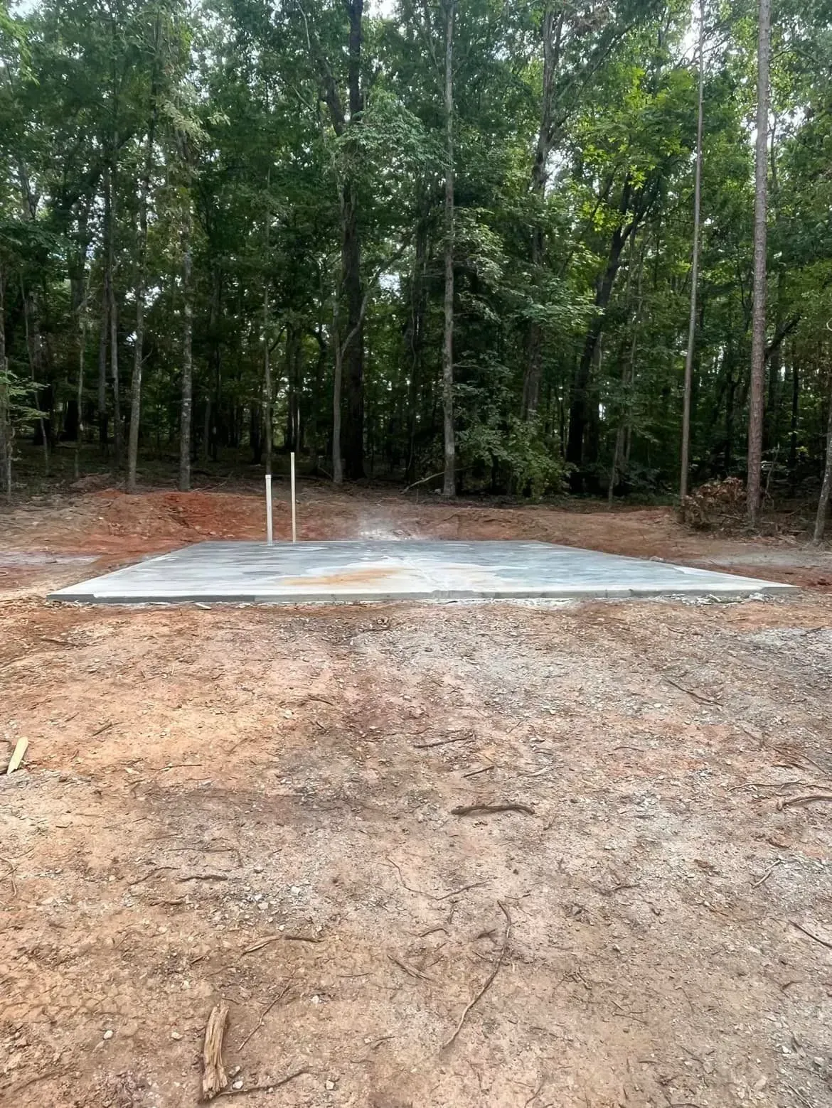 Newly poured concrete slab with plumbing pipes in a wooded area. Earthy tones.