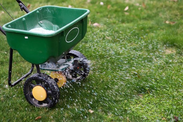 a green wheelbarrow is spraying fertilizer on a lush green lawn