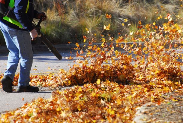 a man is blowing leaves on the side of the road
