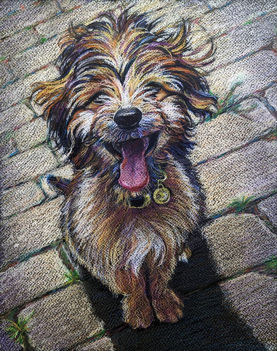 Wax crayon drawing of an Aussie-doodle puppy