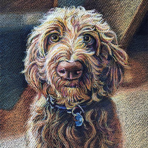 Wax crayon drawing of my red labradoodle, Elliott