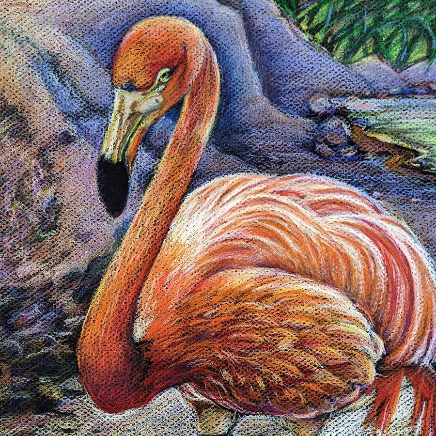 Wax crayon drawing of a pink flamingo