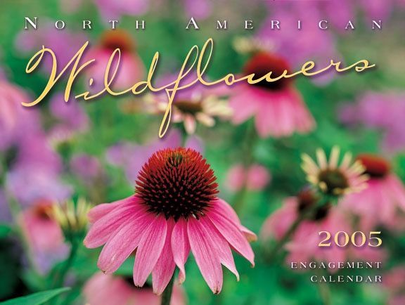 A north american wildflowers engagement calendar from 2005