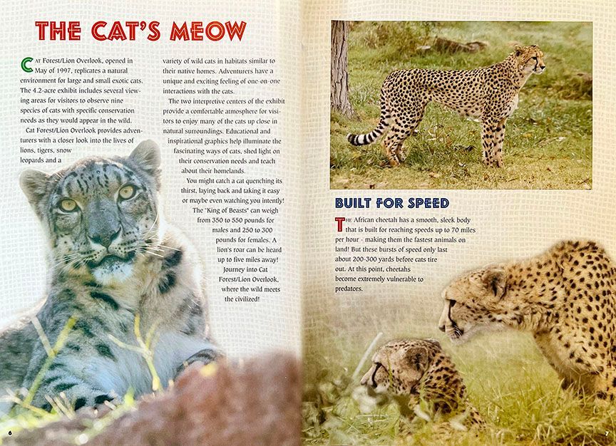 A book is open to a page that says the cats meow