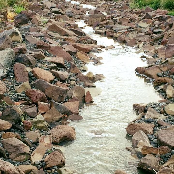 A large orange excavator is sitting on top of a dirt road.