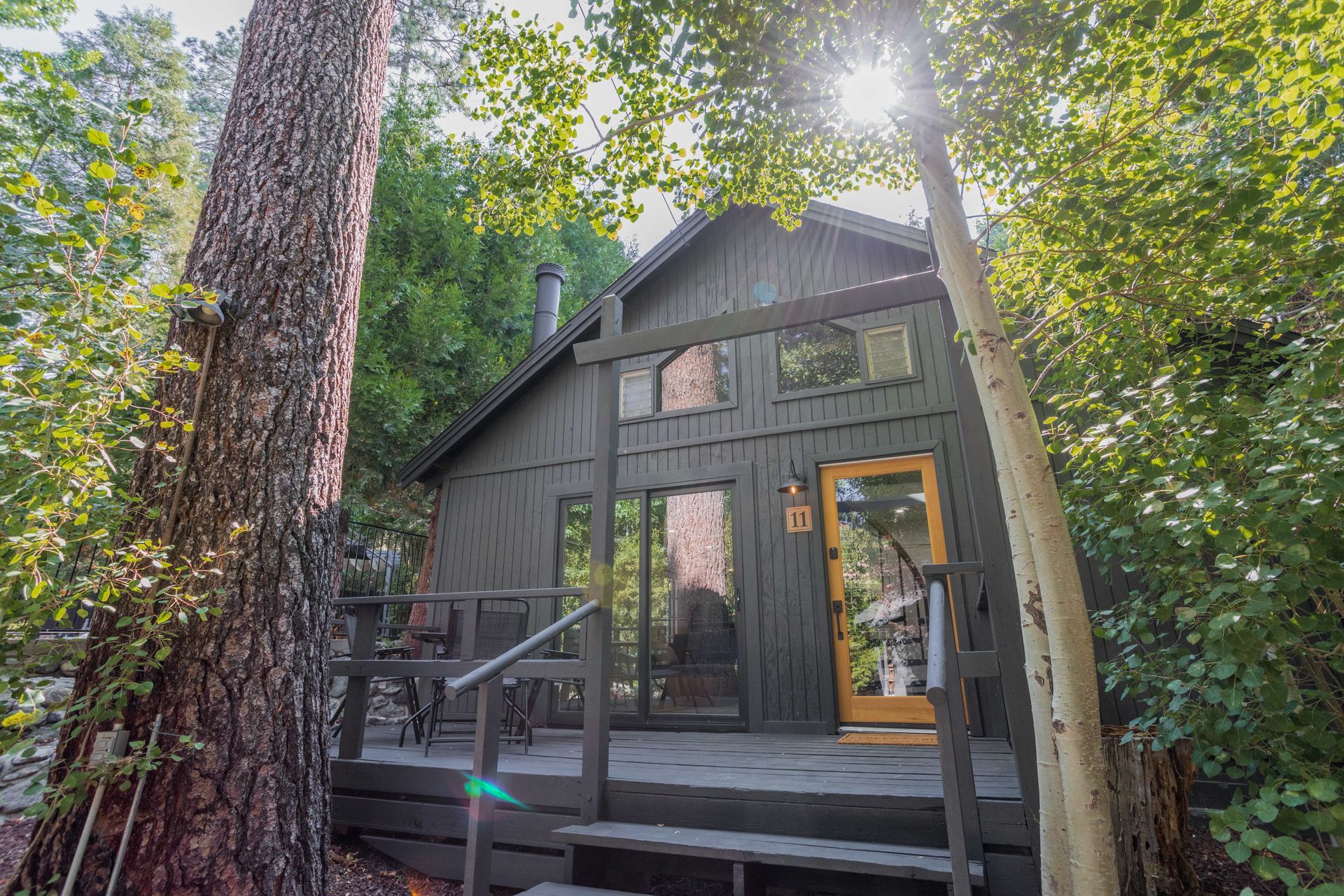 A small black cabin in the middle of a forest surrounded by trees.