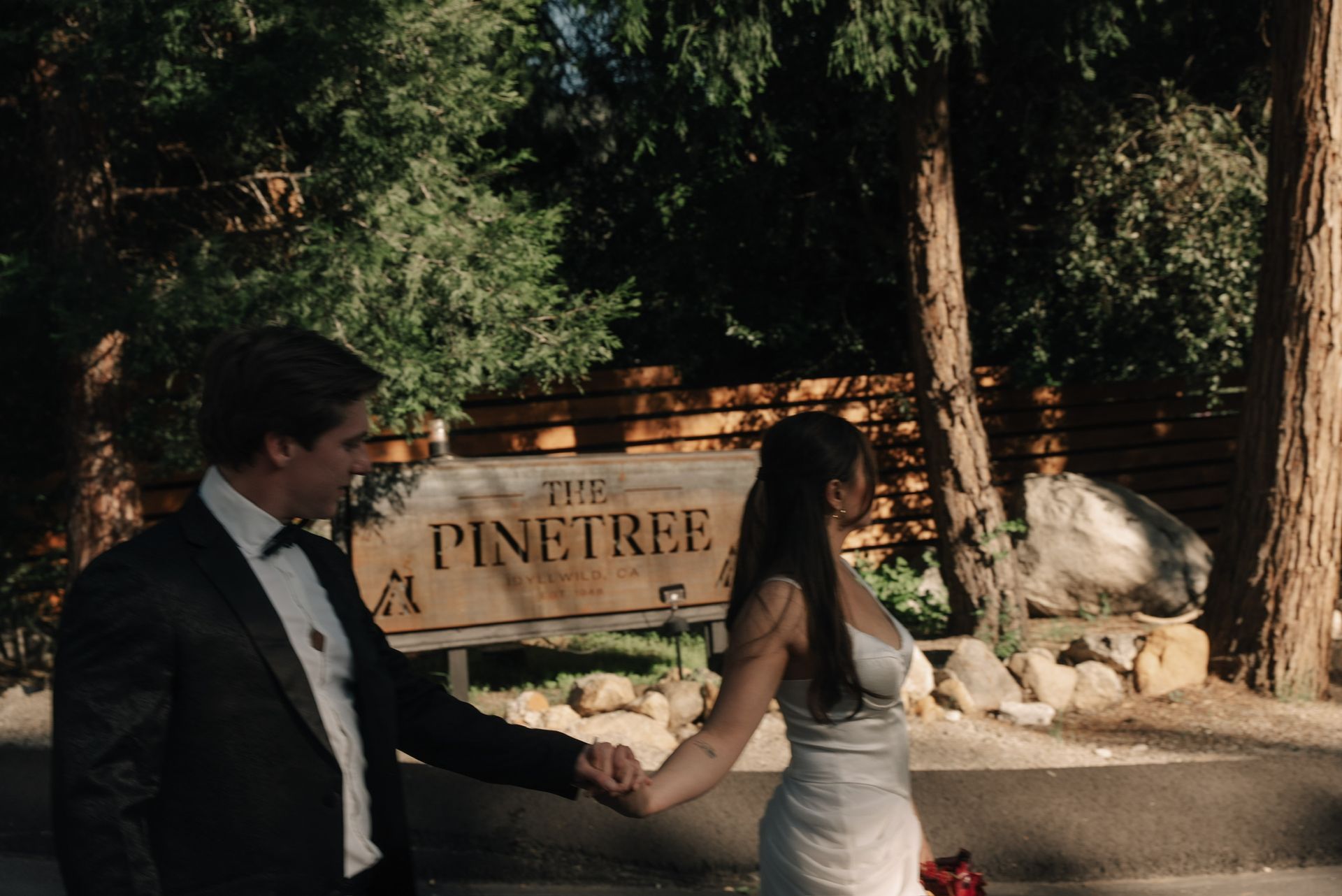 Candid moment of couple walking through The Pinetree at golden hour