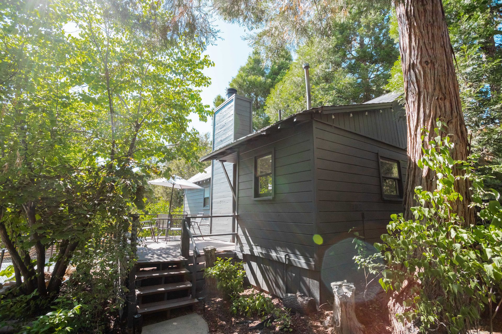 A small house with stairs leading up to it is surrounded by trees.