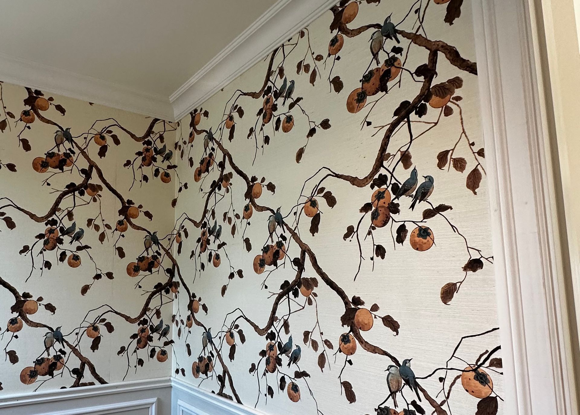 grasscloth-san-jose-powder-room-premium-finish