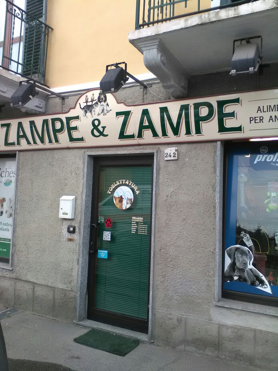 Vetrina del negozio di animali 