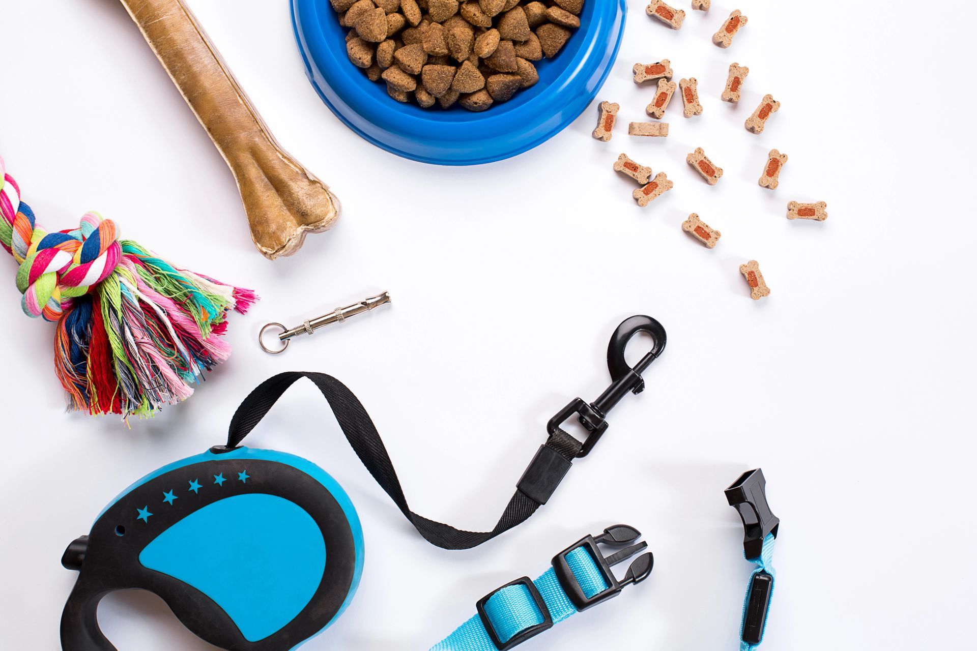 Accessori per cani: ciotola blu per il cibo, guinzaglio, collare, giocattolo in corda, osso e dolcetti su una superficie bianca.