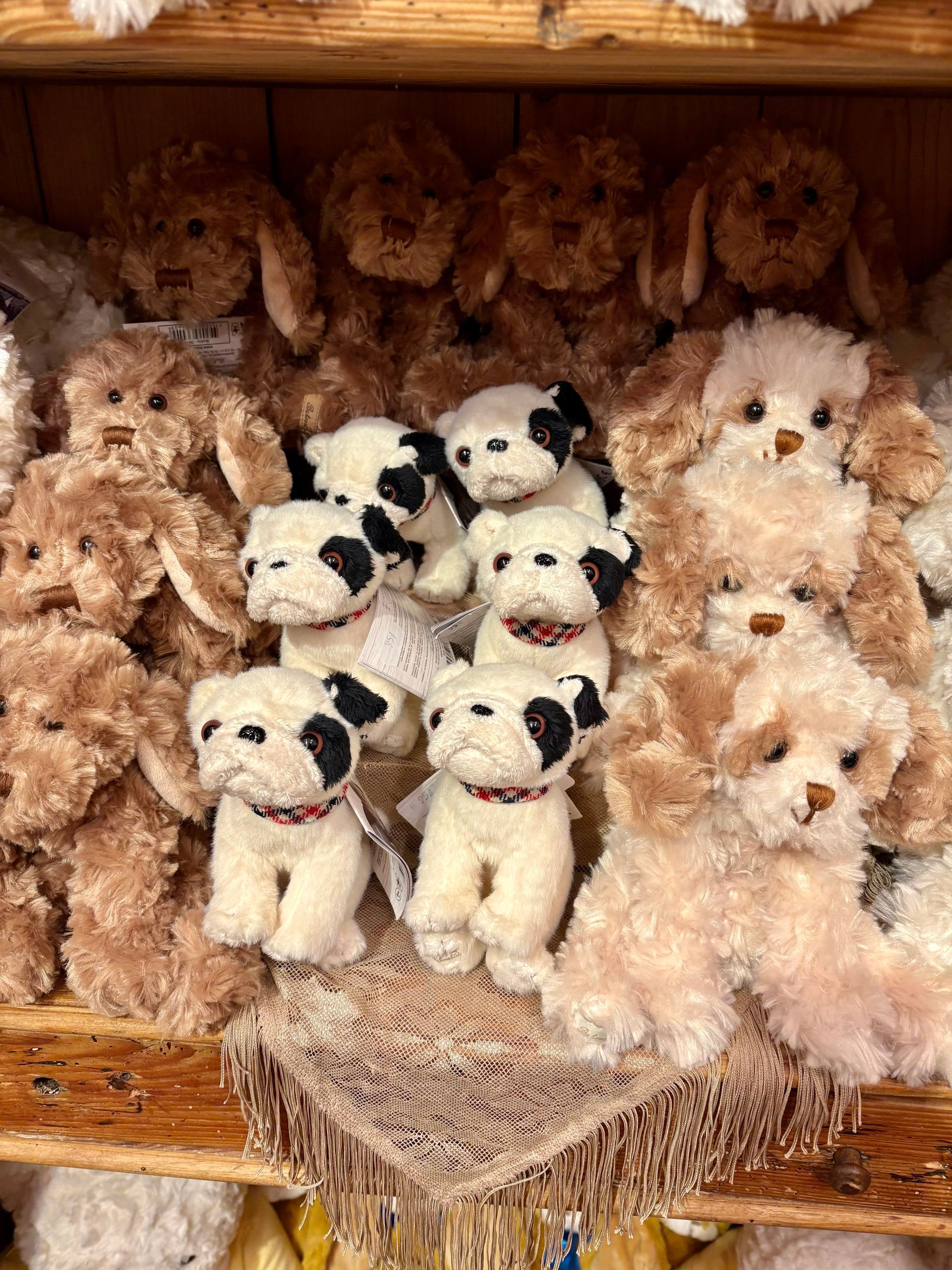 Uno scaffale di cuccioli di peluche: alcuni color cuoio, altri bianchi con macchie nere e altri ancora con le orecchie cadenti.
