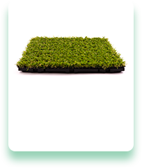 A tray of green grass is sitting on a white surface.