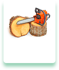 A chainsaw is sitting on top of a piece of wood.